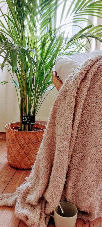 Boho Chic - Your Bohemian Home In Antwerpia Zewnętrze zdjęcie